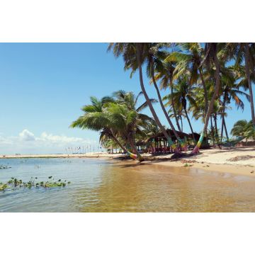 Lais Puzzle - Palmengesäumter Süßwasserstrand bei Ada Foah, Ghana - 2.000 Teile