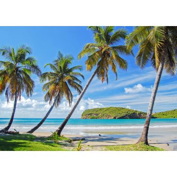 Lais Puzzle - Palmen an einem schönen, abgelegenen Strand auf der Insel Grenada, Karibik, Kleine Antillen - 1.000 Teile