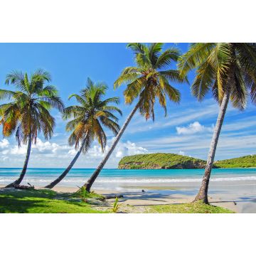 Lais Puzzle - Palmen an einem schönen, abgelegenen Strand auf der Insel Grenada, Karibik, Kleine Antillen - 2.000 Teile