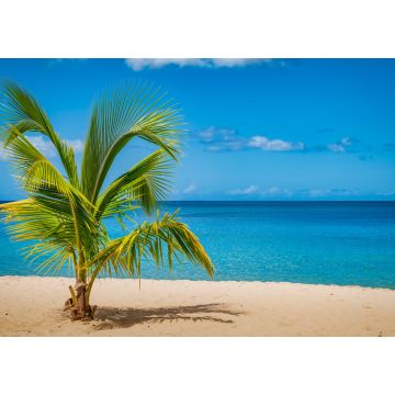 Lais Puzzle - Palme am Grand Anse Strand, Insel Grenada, Karibik - 1.000 Teile