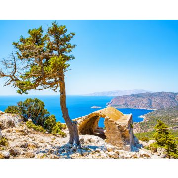 Lais Puzzle - Historische Ruine und Pinienbaum, Mediterranea, Insel Rhodos, Griechenland - 40, 100, 200, 500, 1.000 & 2.000 Teile