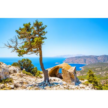 Lais Puzzle - Historische Ruine und Pinienbaum, Mediterranea, Insel Rhodos, Griechenland - 2.000 Teile