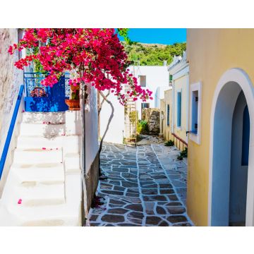 Lais Puzzle - Malerische Gasse mit schönen rosa Bougainvillea-Blüten und gelben Hauswänden. Bunte griechische Straße in Lefkes, Insel Paros - 40, 100, 200, 500, 1.000 & 2.000 Teile