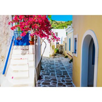 Lais Puzzle - Malerische Gasse mit schönen rosa Bougainvillea-Blüten und gelben Hauswänden. Bunte griechische Straße in Lefkes, Insel Paros - 1.000 Teile