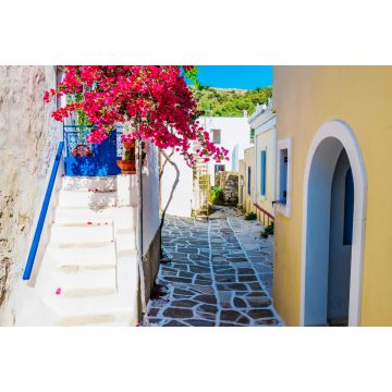 Lais Puzzle - Malerische Gasse mit schönen rosa Bougainvillea-Blüten und gelben Hauswänden. Bunte griechische Straße in Lefkes, Insel Paros - 2.000 Teile
