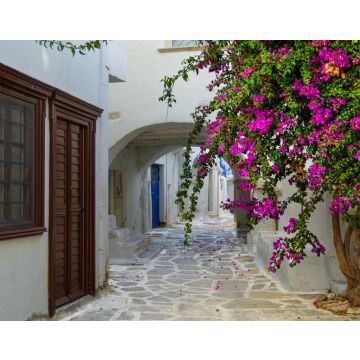 Lais Puzzle - Wunderschöne romantische Gasse mit typisch traditionellen, weiß getünchten griechischen Häusern in Parikia auf der Kykladeninsel Paros - 40, 100, 200, 500, 1.000 & 2.000 Teile