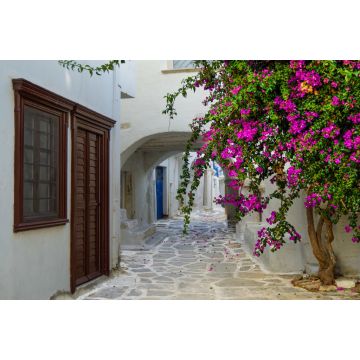 Lais Puzzle - Wunderschöne romantische Gasse mit typisch traditionellen, weiß getünchten griechischen Häusern in Parikia auf der Kykladeninsel Paros - 2.000 Teile