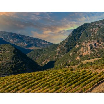 Lais Puzzle - Reiche Weinberge in den inneren Tälern der Halbinsel Peloponnes im Süden des griechischen Festlands - 40, 100, 200, 500, 1.000 & 2.000 Teile