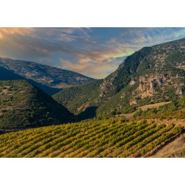 Lais Puzzle - Reiche Weinberge in den inneren Tälern der Halbinsel Peloponnes im Süden des griechischen Festlands - 1.000 Teile