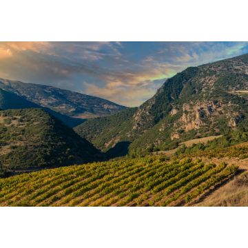Lais Puzzle - Reiche Weinberge in den inneren Tälern der Halbinsel Peloponnes im Süden des griechischen Festlands - 2.000 Teile