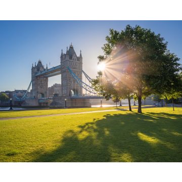 Lais Puzzle - Sonnenaufgang an der Tower Bridge mit Baum und grünem Gras, London, UK - 40, 100, 200, 500, 1.000 & 2.000 Teile