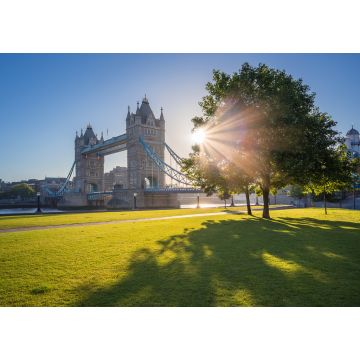 Lais Puzzle - Sonnenaufgang an der Tower Bridge mit Baum und grünem Gras, London, UK - 1.000 Teile