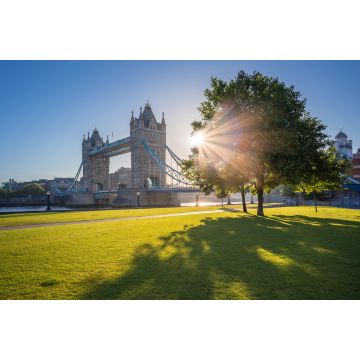 Lais Puzzle - Sonnenaufgang an der Tower Bridge mit Baum und grünem Gras, London, UK - 2.000 Teile