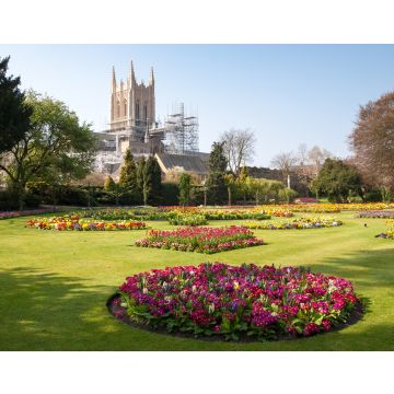 Lais Puzzle - Ein Blick auf die restaurierte Kathedrale von Bury St. Edmunds - 40, 100, 200, 500, 1.000 & 2.000 Teile