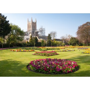 Lais Puzzle - Ein Blick auf die restaurierte Kathedrale von Bury St. Edmunds - 1.000 Teile