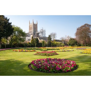 Lais Puzzle - Ein Blick auf die restaurierte Kathedrale von Bury St. Edmunds - 2.000 Teile