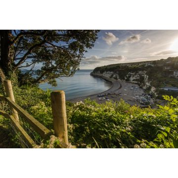 Lais Puzzle - Das britische Kulturerbe-Dorf Beer in Devon, UK - 2.000 Teile