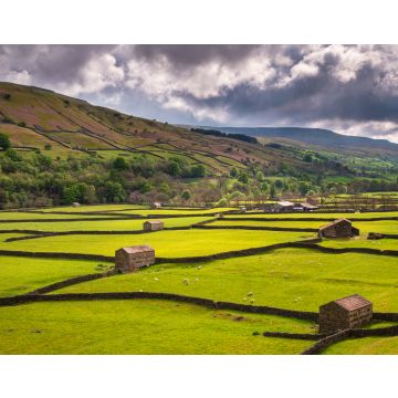 Lais Puzzle - Field Barns bei Gunnerside / Swaledale im Yorkshire Dales National Park, der sich in die nördlichen Pennines hineinzieht - 40, 100, 200, 500, 1.000 & 2.000 Teile