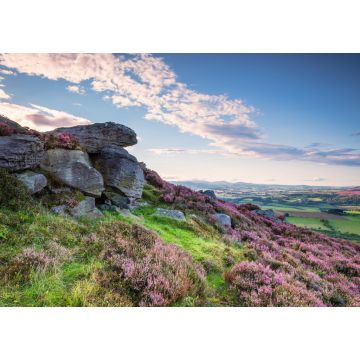 Lais Puzzle - Felsen und Heidekraut auf den Simonside Hills, beliebt bei Wanderern und Spaziergängern, die im Sommer mit Heidekraut bedeckt sind, und Teil des Northumberland National Park sind, mit Blick auf die Cheviot Hills - 1.000 Teile