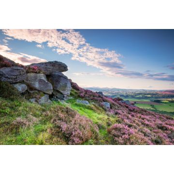 Lais Puzzle - Felsen und Heidekraut auf den Simonside Hills, beliebt bei Wanderern und Spaziergängern, die im Sommer mit Heidekraut bedeckt sind, und Teil des Northumberland National Park sind, mit Blick auf die Cheviot Hills - 2.000 Teile