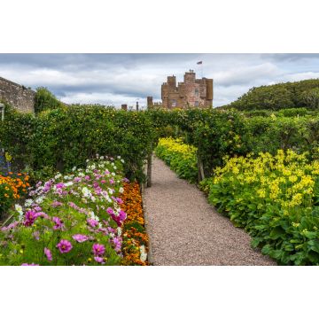 Lais Puzzle - Schöner Garten von Castle of Mey, dem Lieblingswohnsitz und Ferienhaus der Königinmutter, Caithness, Schottland, Großbritannien - 2.000 Teile