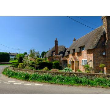 Lais Puzzle - Frühlingssonne am Nachmittag im Dorf Beauworth, Hampshire, England - 1.000 Teile