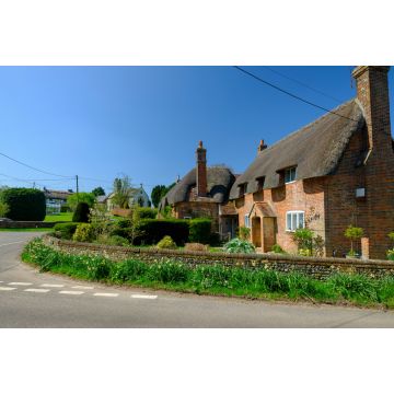 Lais Puzzle - Frühlingssonne am Nachmittag im Dorf Beauworth, Hampshire, England - 2.000 Teile