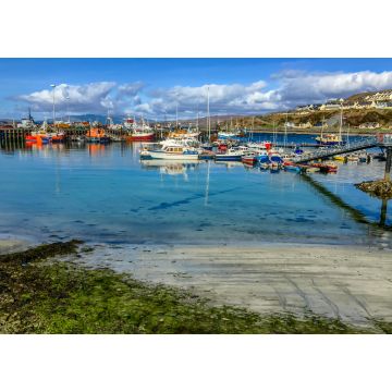 Lais Puzzle - Klares Wasser im alten Hafen von Mallaig, schottisches Hochland - 1.000 Teile
