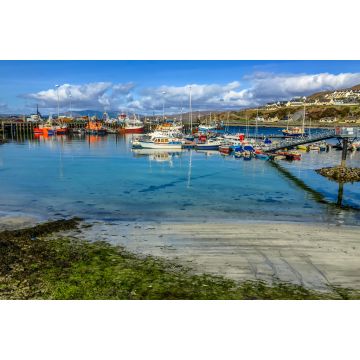 Lais Puzzle - Klares Wasser im alten Hafen von Mallaig, schottisches Hochland - 2.000 Teile