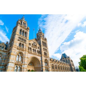 Lais Puzzle - Natural History Museum of London, Vereinigtes Königreich - 2.000 Teile