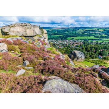 Lais Puzzle - Ein Blick auf violettes Heidekraut auf einem Felsgipfel im Ilkley Moor oberhalb der Stadt Ilkley Yorkshire, UK im Sommer - 1.000 Teile