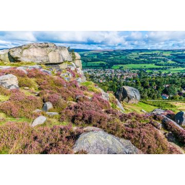 Lais Puzzle - Ein Blick auf violettes Heidekraut auf einem Felsgipfel im Ilkley Moor oberhalb der Stadt Ilkley Yorkshire, UK im Sommer - 2.000 Teile