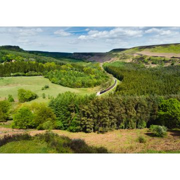 Lais Puzzle - Dampfzug fährt an einem strahlenden Frühlingsmorgen durch Moore und Wälder. Goathland, Großbritannien - 1.000 Teile