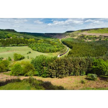 Lais Puzzle - Dampfzug fährt an einem strahlenden Frühlingsmorgen durch Moore und Wälder. Goathland, Großbritannien - 2.000 Teile