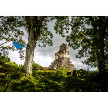 Lais Puzzle - Spitze des Maya-Tempels I (Gran Jaguar) im Tikal-Nationalpark - Guatemala - 1.000 Teile