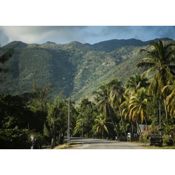 Lais Puzzle - Haitianische Berge, Straße mit Palmen. Region 'Grand Anse', Haiti - 1.000 Teile