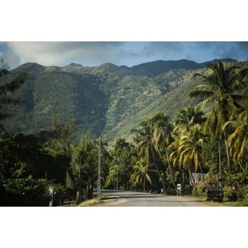 Lais Puzzle - Haitianische Berge, Straße mit Palmen. Region 'Grand Anse', Haiti - 2.000 Teile