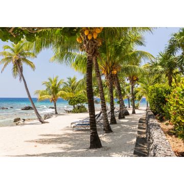Lais Puzzle - Meridian am Strand von Lighthouse Point, Honduras - 1.000 Teile