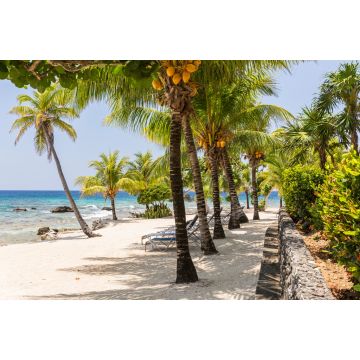 Lais Puzzle - Meridian am Strand von Lighthouse Point, Honduras - 2.000 Teile