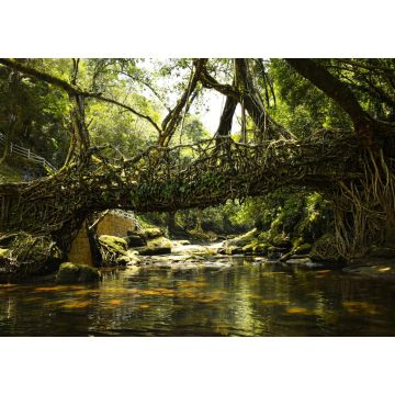 Lais Puzzle - Lebende Wurzelbrücke im Wald von Mawlynnong, Meghalaya, Indien - 1.000 Teile