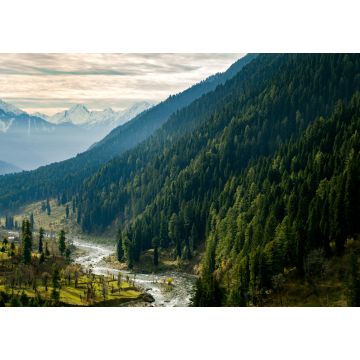 Lais Puzzle - Ein Himalaya-Fluss, der durch das Aru-Tal in der Nähe von Pahalgam, Kaschmir, Indien fließt - 1.000 Teile
