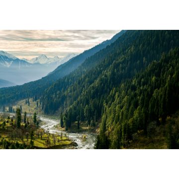 Lais Puzzle - Ein Himalaya-Fluss, der durch das Aru-Tal in der Nähe von Pahalgam, Kaschmir, Indien fließt - 2.000 Teile