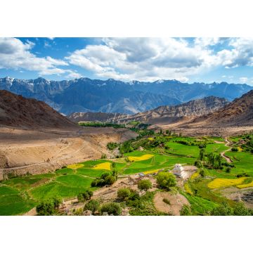 Lais Puzzle - Schöne Landschaft, Wiesen und Ackerland in Ladakh, Indien - 1.000 Teile
