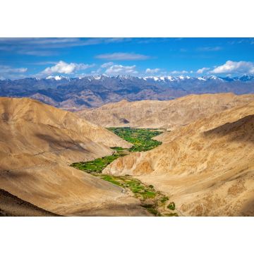 Lais Puzzle - Wunderschöne Landschaft, Wiesen und Ackerland in Ladakh, Indien - 1.000 Teile
