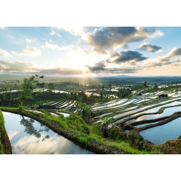 Lais Puzzle - Schöner Sonnenaufgang über den Jatiluwih-Reisterrassen in Bali, Indonesien - 1.000 Teile