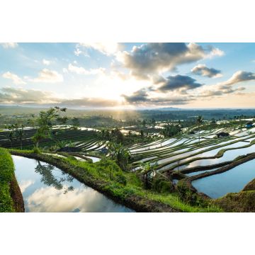 Lais Puzzle - Schöner Sonnenaufgang über den Jatiluwih-Reisterrassen in Bali, Indonesien - 2.000 Teile