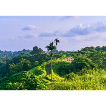 Lais Puzzle - Campuhan Ridge Walk, heiliger Pfad, auf der Insel Bali, Indonesien - 1.000 Teile