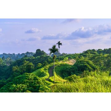 Lais Puzzle - Campuhan Ridge Walk, heiliger Pfad, auf der Insel Bali, Indonesien - 2.000 Teile