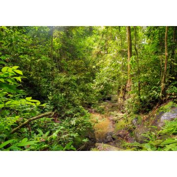 Lais Puzzle - Schöner Landschaftsblick auf den Regenwald während einer ökotouristischen Dschungelwanderung im Gunung Leuser National Park, Bukit Lawang, Sumatra, Indonesien - 1.000 Teile