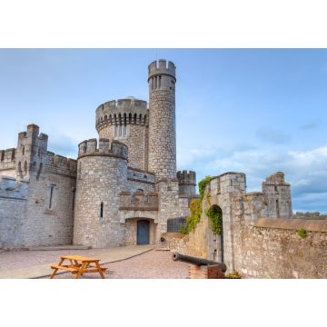 Lais Puzzle - Blackrock Castle und Sternwarte in Cork - Irland - 1.000 Teile